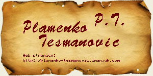 Plamenko Tešmanović vizit kartica
